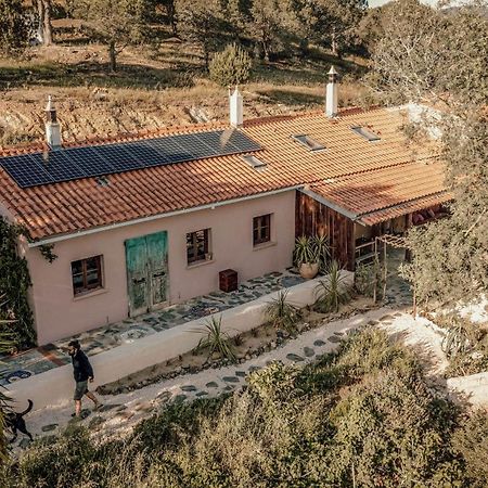 The Lemon Lodge Aljezur Εξωτερικό φωτογραφία