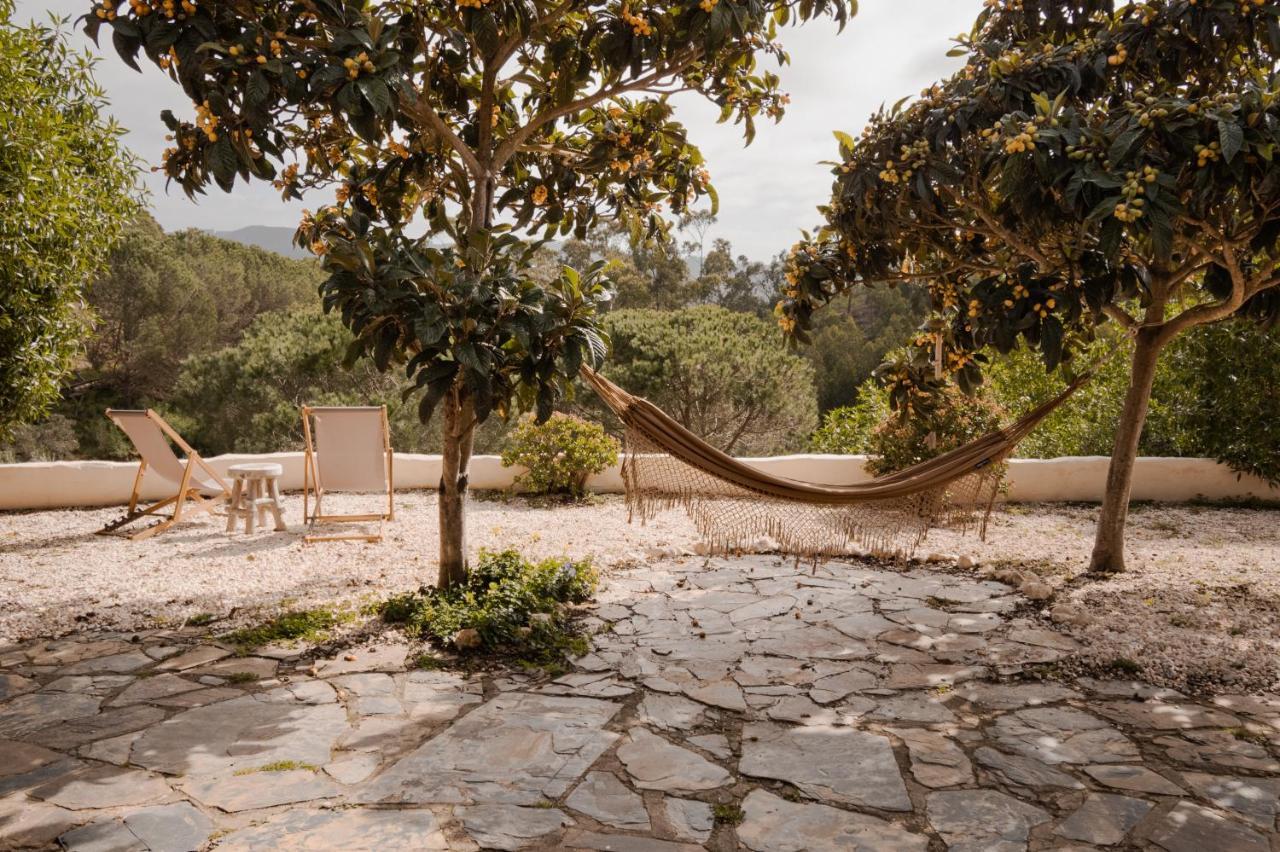 The Lemon Lodge Aljezur Εξωτερικό φωτογραφία
